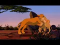 Can You Feel the Love Tonight (from The Lion King)