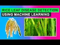 Rice Leaf Disease Detection Using Machine Learning Techniques