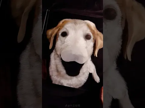 Unusual Glass Painting Technique #shorts #art