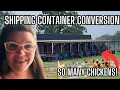 Inside Our Chicken Hatchery From Egg to The Ultimate Coop in 60 Days