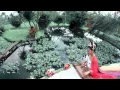 Download Lagu Sekar Bumi - Raka Sidan