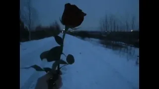         سنين                          دندنها