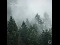 Paradox - Lipless