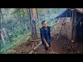 Download Lagu Een dapper gezin woont midden in het bos zonder elektriciteit
