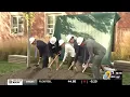 U of Dubuque Upgrades Announcement