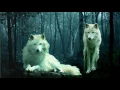 Ltigo Canvas Wall Art Wolves 12 x 16