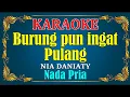 Download Lagu BURUNG PUN INGAT PULANG - Nia Daniaty || KARAOKE - Nada Pria