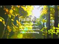 God's Promises: Piano Instrumental Music With Scriptures & Autumn Scene 🍁CHRISTIAN piano