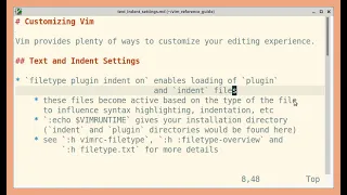 Customizing Vim text and indent settings