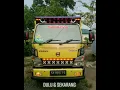 Truk kalimantan