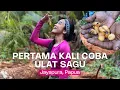 Download Lagu EKSPLOR PAPUA COBAIN KULINER EKSTREM ULAT SAGU [𝚂𝚄𝙱/𝙲𝙲]