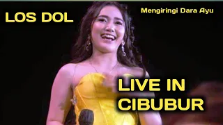 Download Dara Ayu - Los Dol cover live in cibubur MP3