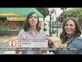 Dg Lodi Farmers Market