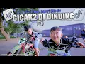 Dj Cicak Cicak Di Dinding - Sakti Viano Ft. Saka Viano (VADEL DANCE)