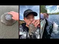 Cute Satisfying Ocean Animals Compilation Part 6