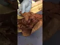 Mink dissection part 2