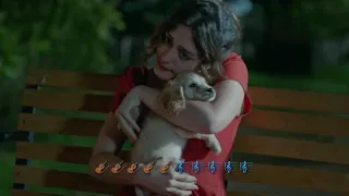 اغنية ارادم على صورة مهجة الشيخ مع كتابة اغنية دندنها