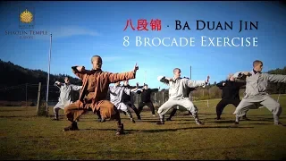 Download 八段锦 · Ba Duan Jin (8 Brocade Exercise) Qi Gong MP3