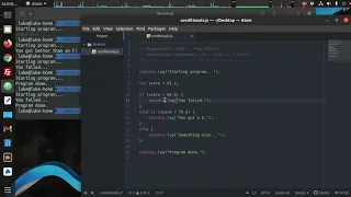 JavaScript - Flow Control Conditional Statements