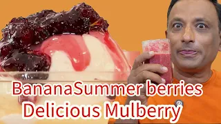 Berry This Summer must have! Superfruit Magic: Delicious Mulberry Wrap, Juice & Banana Custard