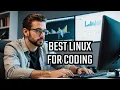 What is the PERFECT Linux distribution for programming in 2025