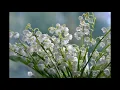G. Fauré: Romance sans paroles (Romance without words), Op. 17 no. 3