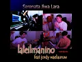 Download Lagu Serenata Jiwa Lara - Laleilmanino version (Lyrics)