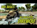 Direwolf - Ark Ascended Basics