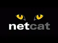 Introduction to Netcat shell stabilisation