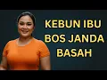 Download Lagu KISAH IBU BOS TOKO BANGUNAN DENGAN KULI