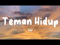 Download Lagu Tulus - Teman Hidup - Lirik Lagu