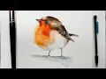 Download Lagu How to paint a Robin in watercolour