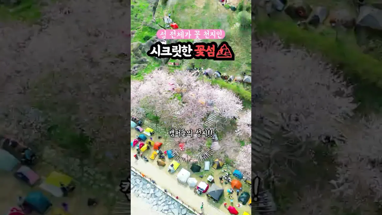온 섬이 꽃 천지인 시크릿한 한국의 섬 #국내여행지추천 サムネイル