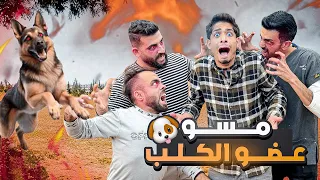 كلب عض مسو نهائي غير متوقعة دندنها