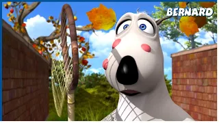 THE LITTLE DOG | Bernard | 140' Compilation