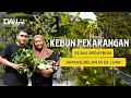 Menghemat Uang Belanja dengan Berkebun Organik - Kebun Kumbit