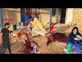 Download Lagu Suheila's silent suffering from complaints of mother-in-law and unfaithful husban p She suffers