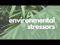 Environmental Stressors April 22 2021