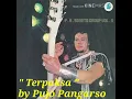 Download Lagu Rhoma Irama _ Terpaksa  ( OM Soneta Vol 9 Begadang ll 1978 )