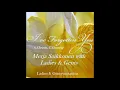 Download Lagu I´ve Forgotten You  / Yellow Iris  - Poirot - Agatha Christie