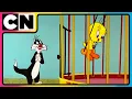 Download Lagu Looney Tunes🐰| Non-stop Fun 🤩| The Wacky World of Looney Tunes! 🐰 | 90s Cartoons | 90s | @cnindia