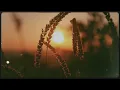 Noah James - Pink Skies (Official Lyric Video) - Noah James 