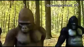 يا سعود العلي عذبني دندنها