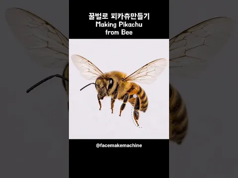 꿀벌로 피카츄만들기 #포켓몬