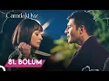 Camdaki Kiz 81 Bolum