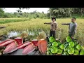 Lagu HULING GAWA NANATIN SA PALAYAN NATIN SA AREA 3 DAHIL SA BAGSAG PRESYO  NG PALAY