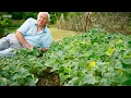 EXPLODING seed pods make Sir David Attenborough laugh 💥😂 The Green Planet 🌱 BBC