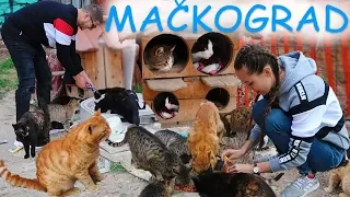 AVANTURE I IZAZOVI U BEOGRADU