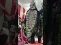 Download Lagu jai. maa kali