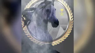 العجايب سبع واليوم كل شي عجيب 